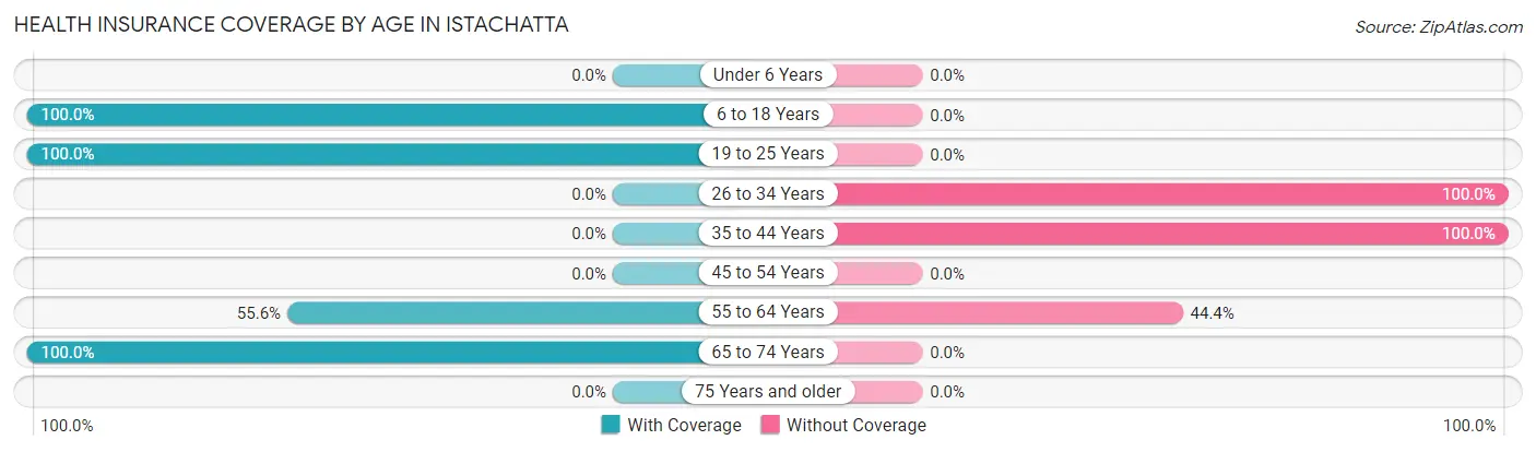 Health Insurance Coverage by Age in Istachatta