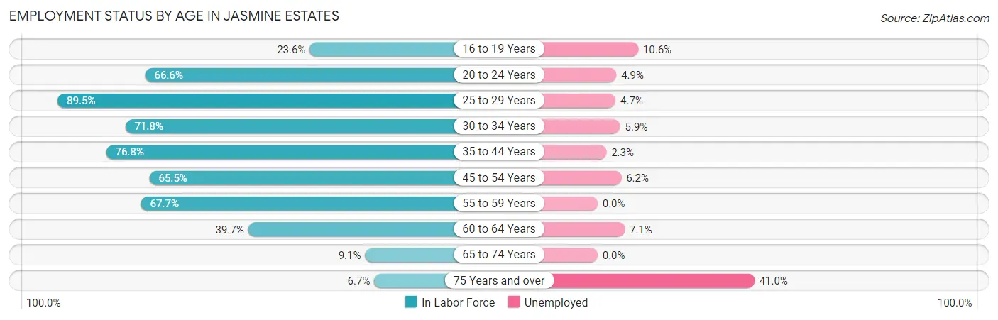 Employment Status by Age in Jasmine Estates
