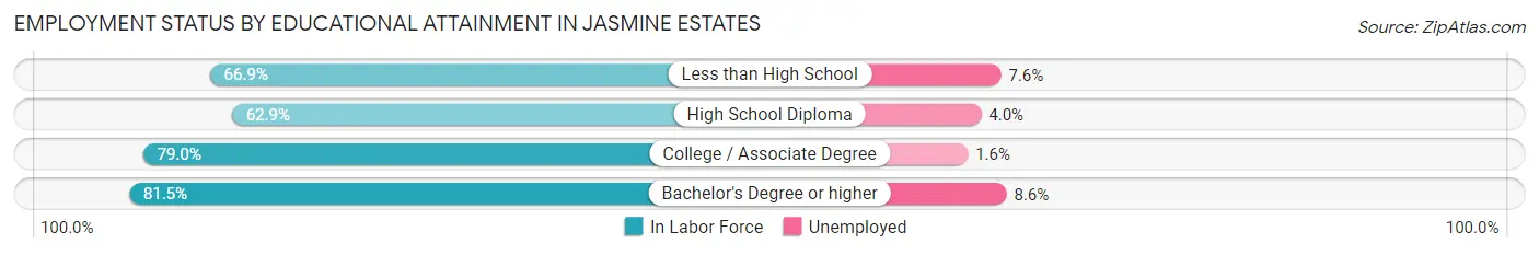 Employment Status by Educational Attainment in Jasmine Estates