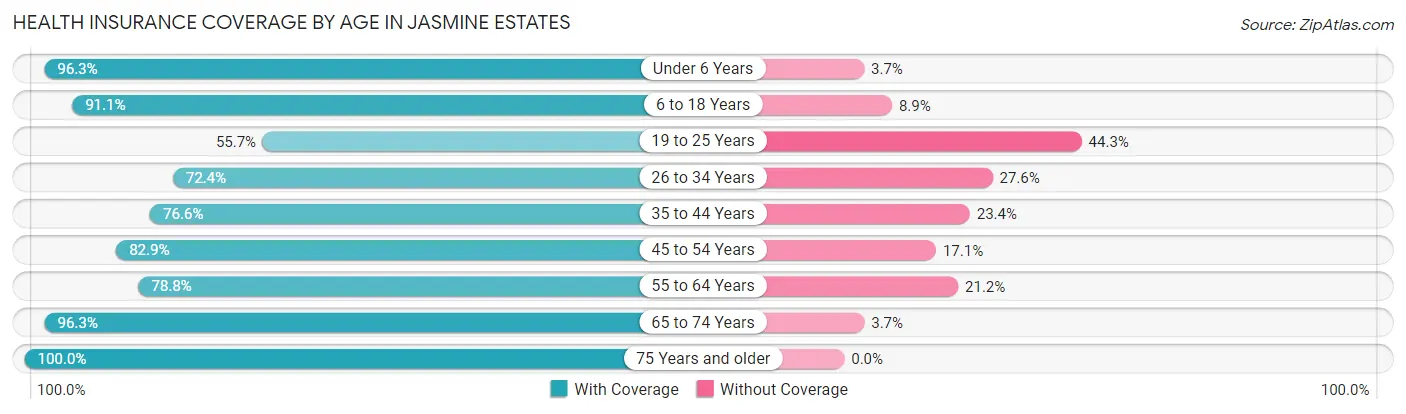 Health Insurance Coverage by Age in Jasmine Estates