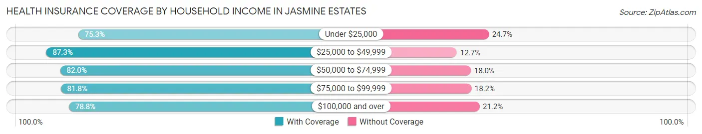 Health Insurance Coverage by Household Income in Jasmine Estates