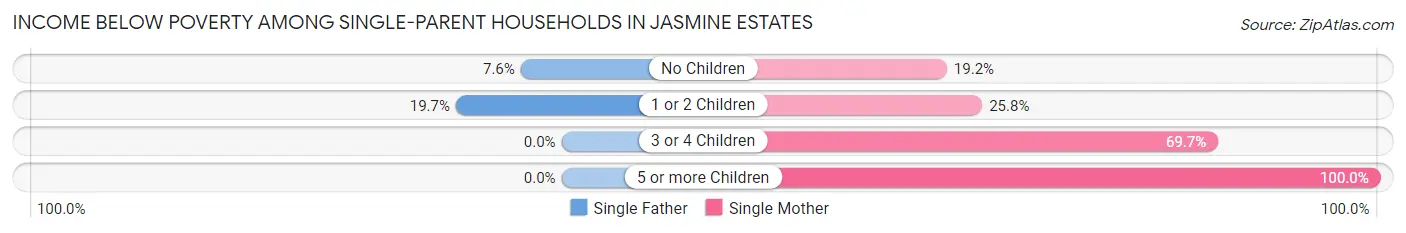 Income Below Poverty Among Single-Parent Households in Jasmine Estates