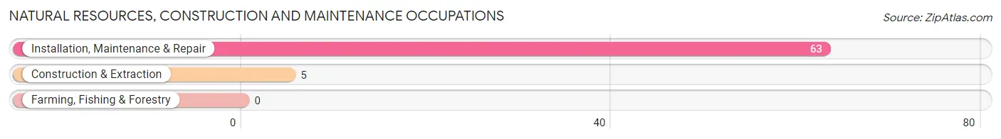 Natural Resources, Construction and Maintenance Occupations in Jasper