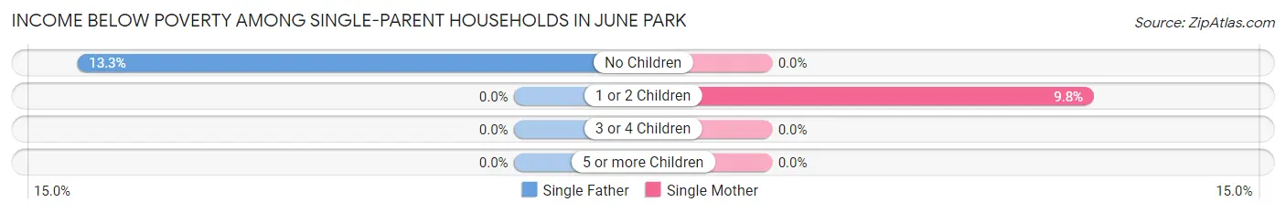 Income Below Poverty Among Single-Parent Households in June Park