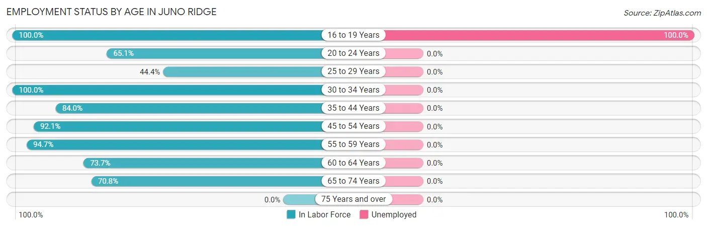 Employment Status by Age in Juno Ridge