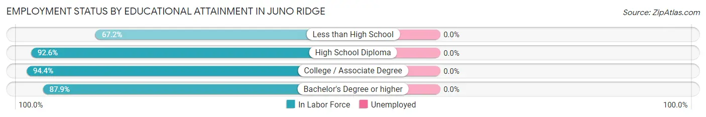 Employment Status by Educational Attainment in Juno Ridge