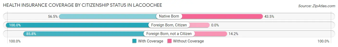 Health Insurance Coverage by Citizenship Status in Lacoochee