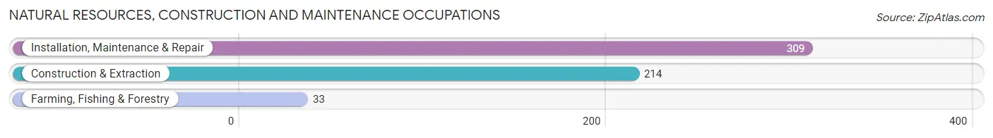 Natural Resources, Construction and Maintenance Occupations in Lakewood Ranch