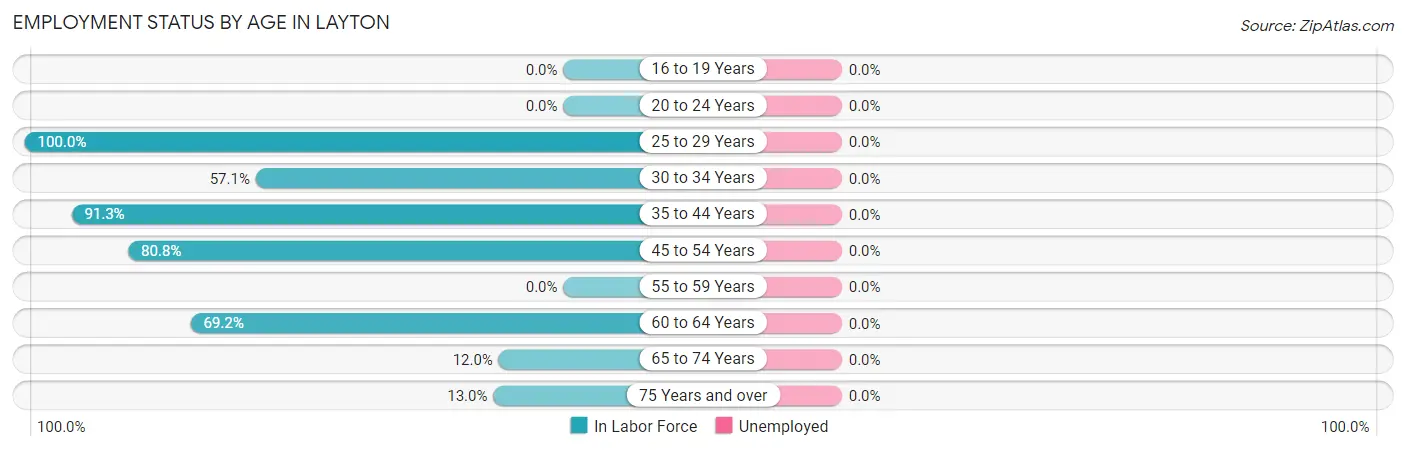Employment Status by Age in Layton