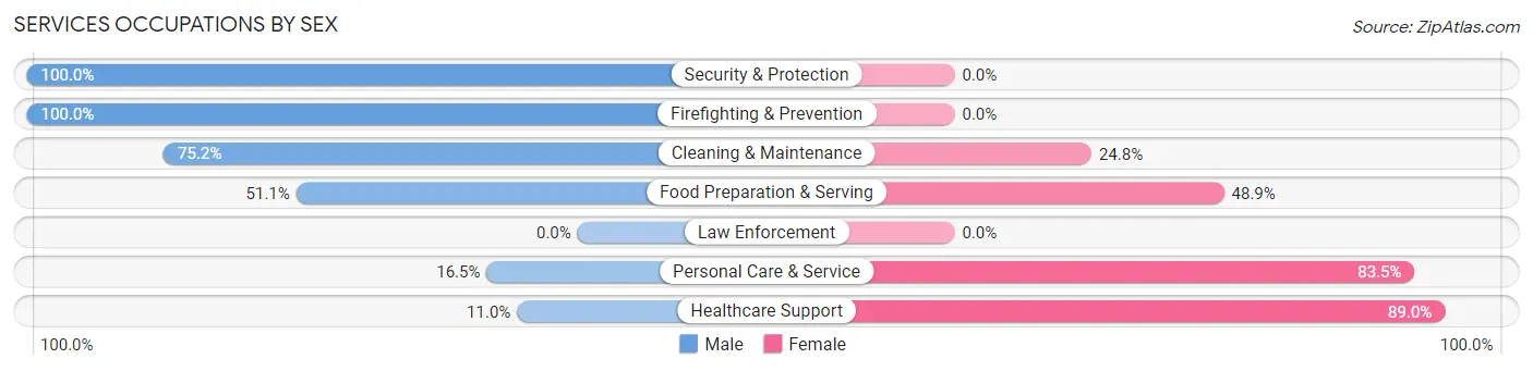 Services Occupations by Sex in Lealman