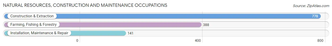 Natural Resources, Construction and Maintenance Occupations in Leesburg