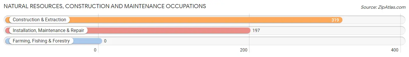 Natural Resources, Construction and Maintenance Occupations in Liberty Triangle