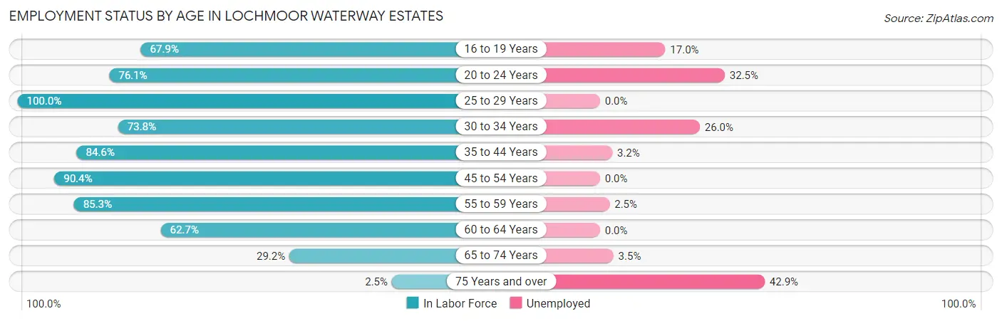 Employment Status by Age in Lochmoor Waterway Estates