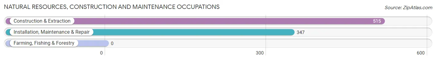 Natural Resources, Construction and Maintenance Occupations in Lockhart