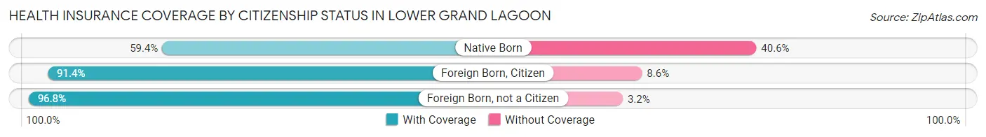 Health Insurance Coverage by Citizenship Status in Lower Grand Lagoon