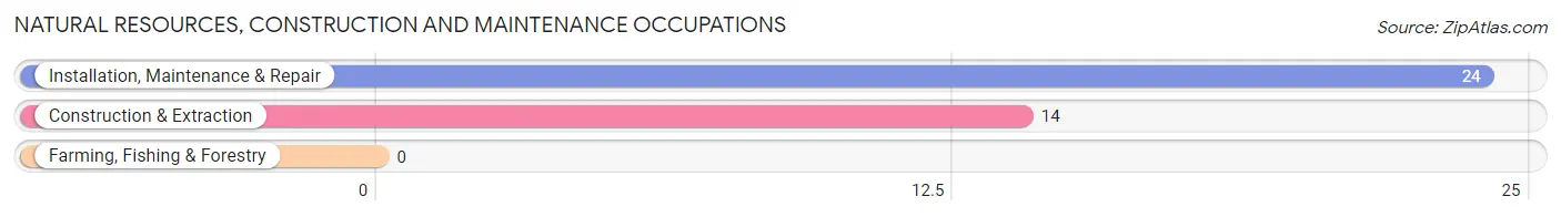 Natural Resources, Construction and Maintenance Occupations in Malone