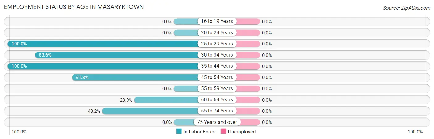 Employment Status by Age in Masaryktown