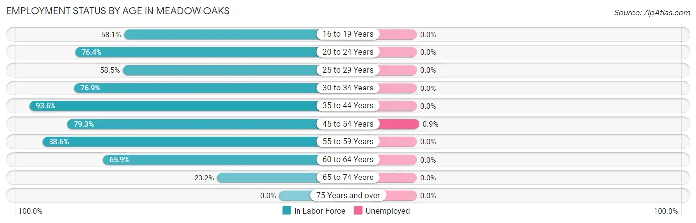 Employment Status by Age in Meadow Oaks