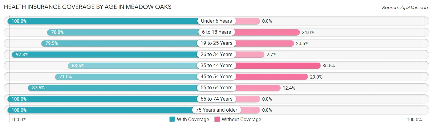 Health Insurance Coverage by Age in Meadow Oaks
