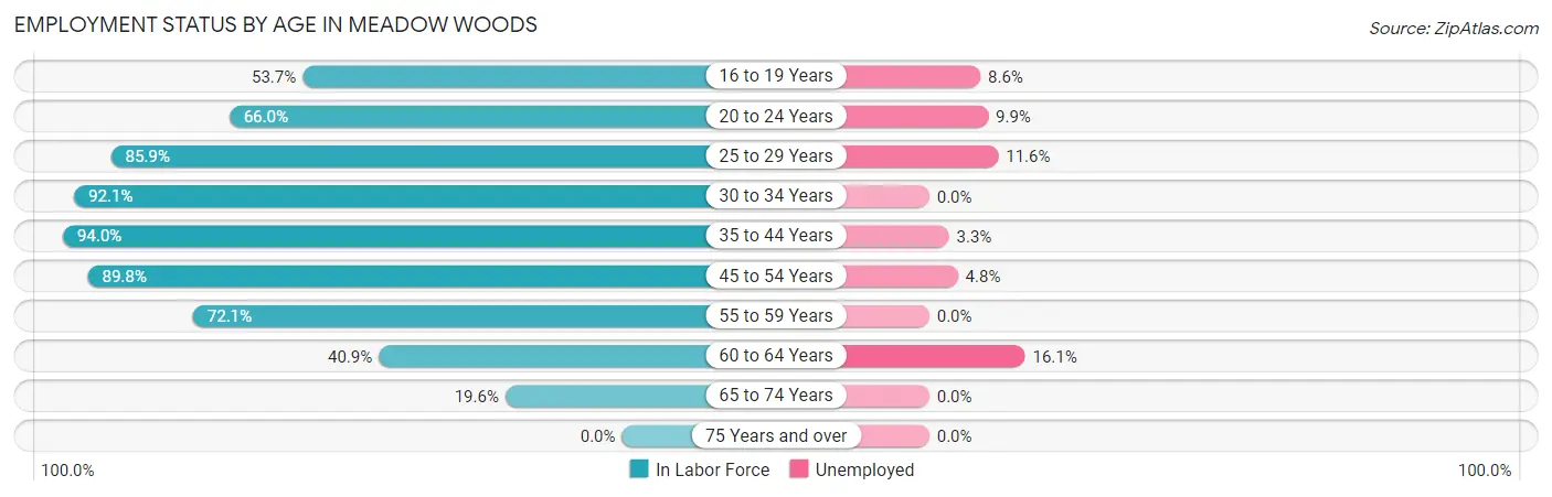 Employment Status by Age in Meadow Woods