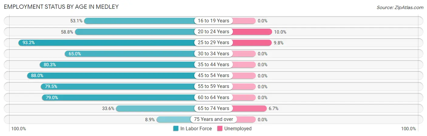 Employment Status by Age in Medley