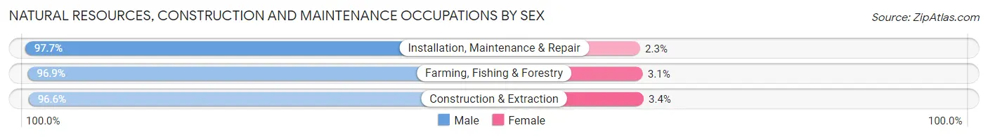 Natural Resources, Construction and Maintenance Occupations by Sex in Melbourne