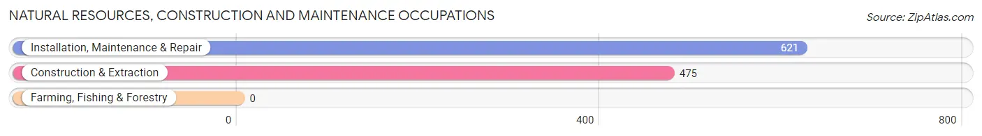 Natural Resources, Construction and Maintenance Occupations in Merritt Island