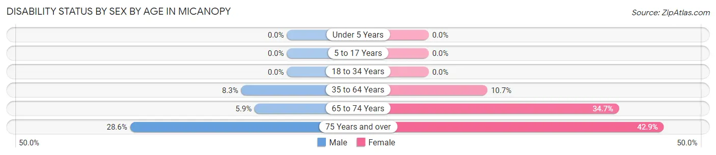 Disability Status by Sex by Age in Micanopy