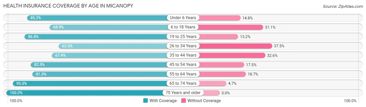 Health Insurance Coverage by Age in Micanopy