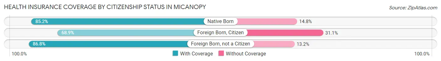 Health Insurance Coverage by Citizenship Status in Micanopy