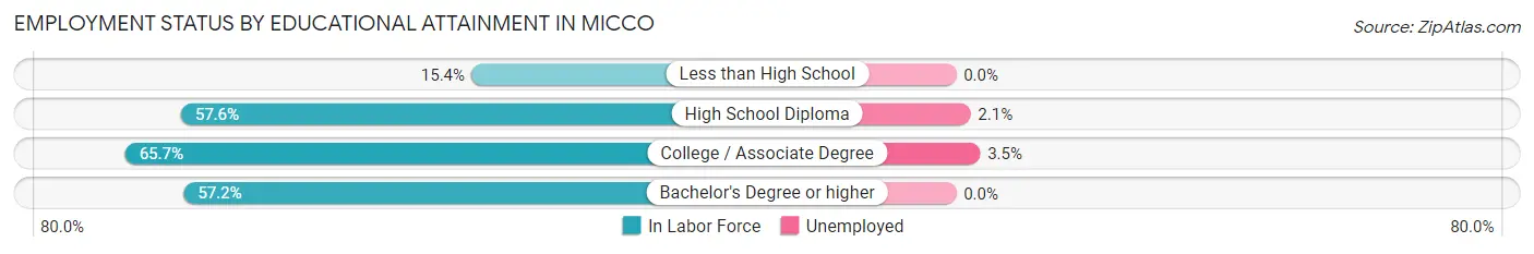 Employment Status by Educational Attainment in Micco