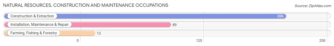 Natural Resources, Construction and Maintenance Occupations in Micco