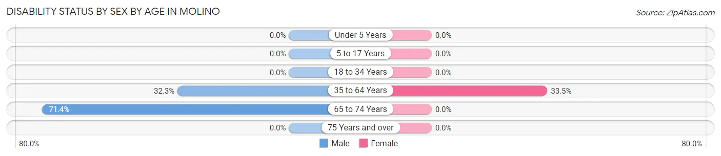 Disability Status by Sex by Age in Molino