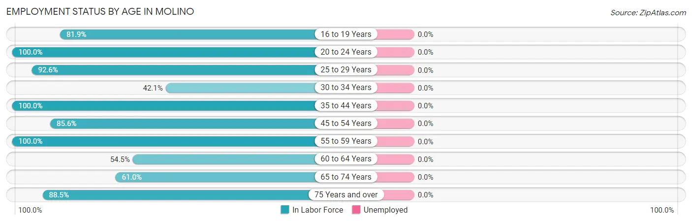 Employment Status by Age in Molino