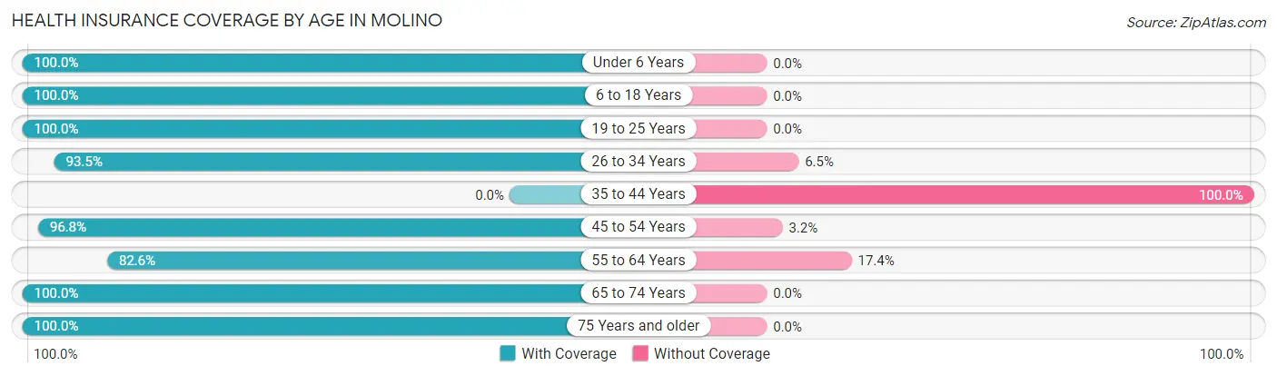 Health Insurance Coverage by Age in Molino