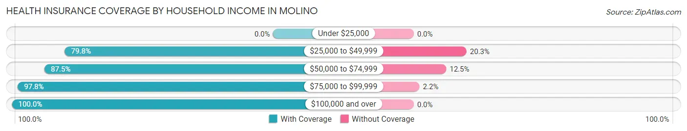 Health Insurance Coverage by Household Income in Molino