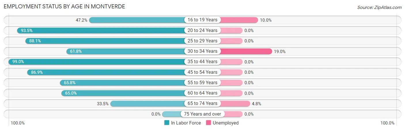 Employment Status by Age in Montverde
