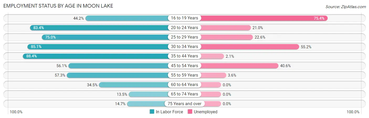 Employment Status by Age in Moon Lake