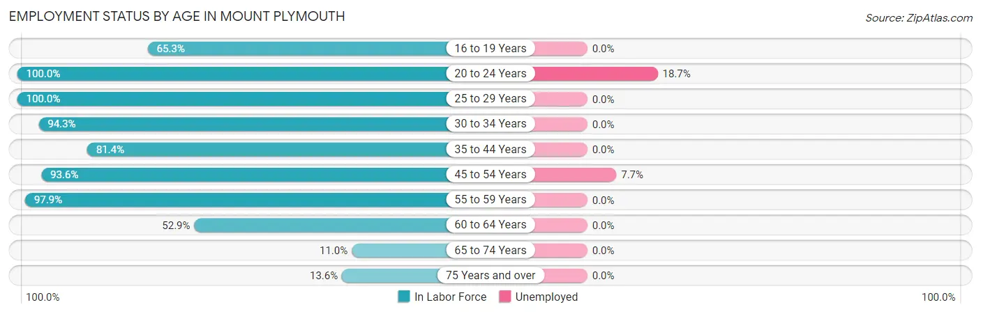 Employment Status by Age in Mount Plymouth