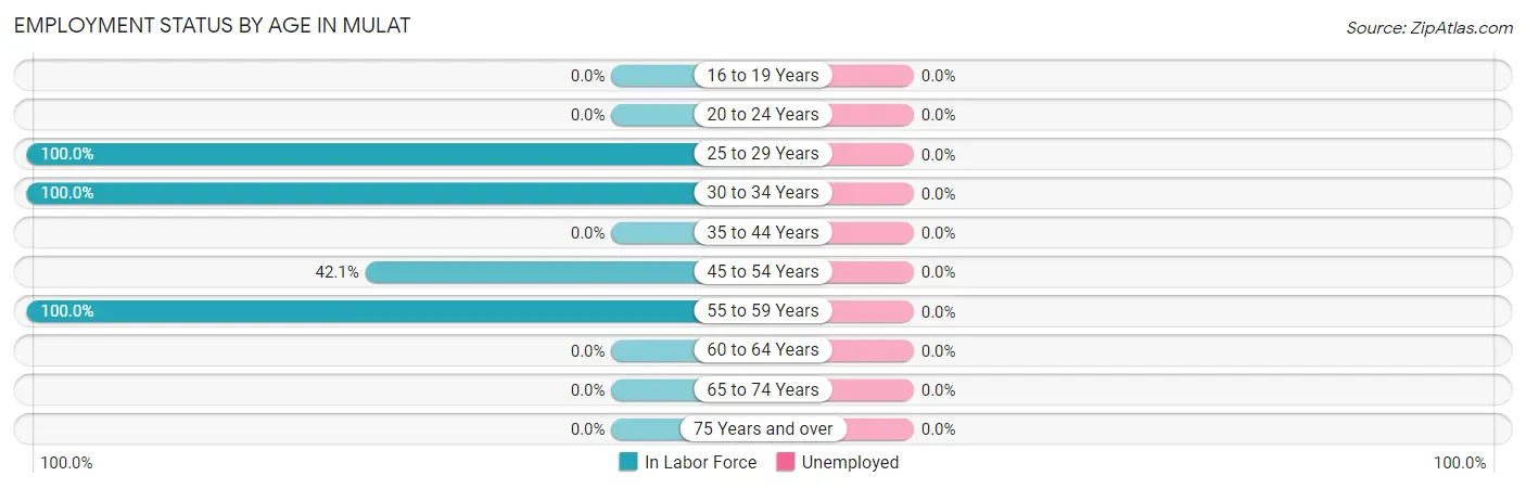 Employment Status by Age in Mulat