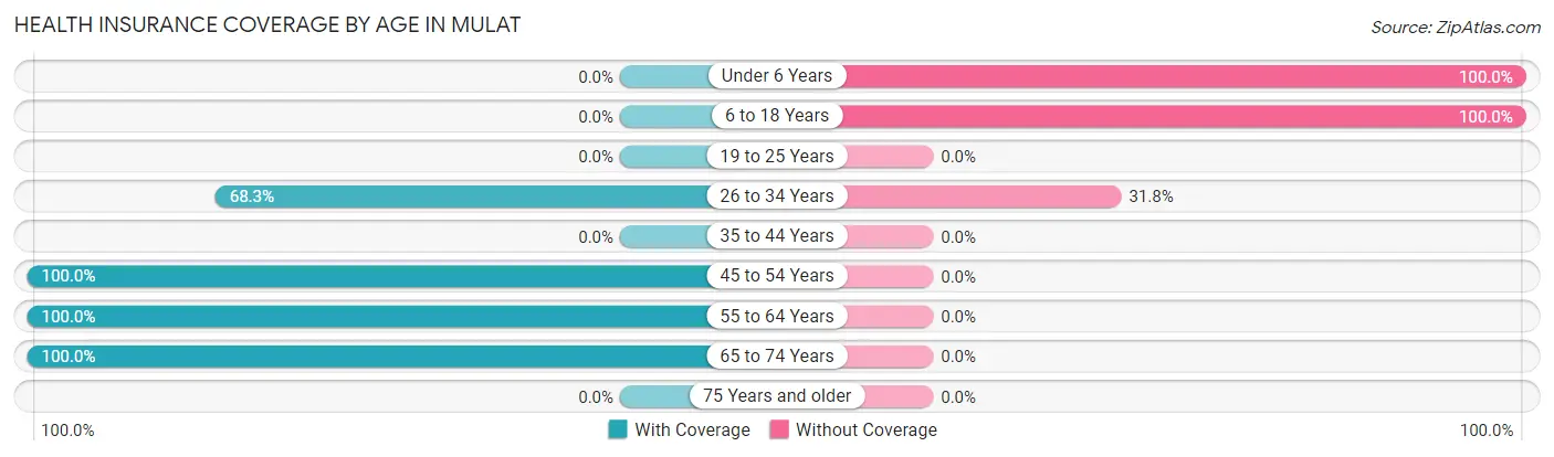 Health Insurance Coverage by Age in Mulat