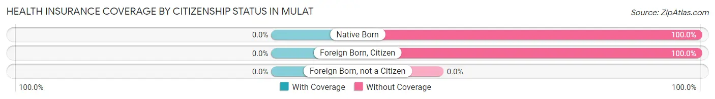 Health Insurance Coverage by Citizenship Status in Mulat