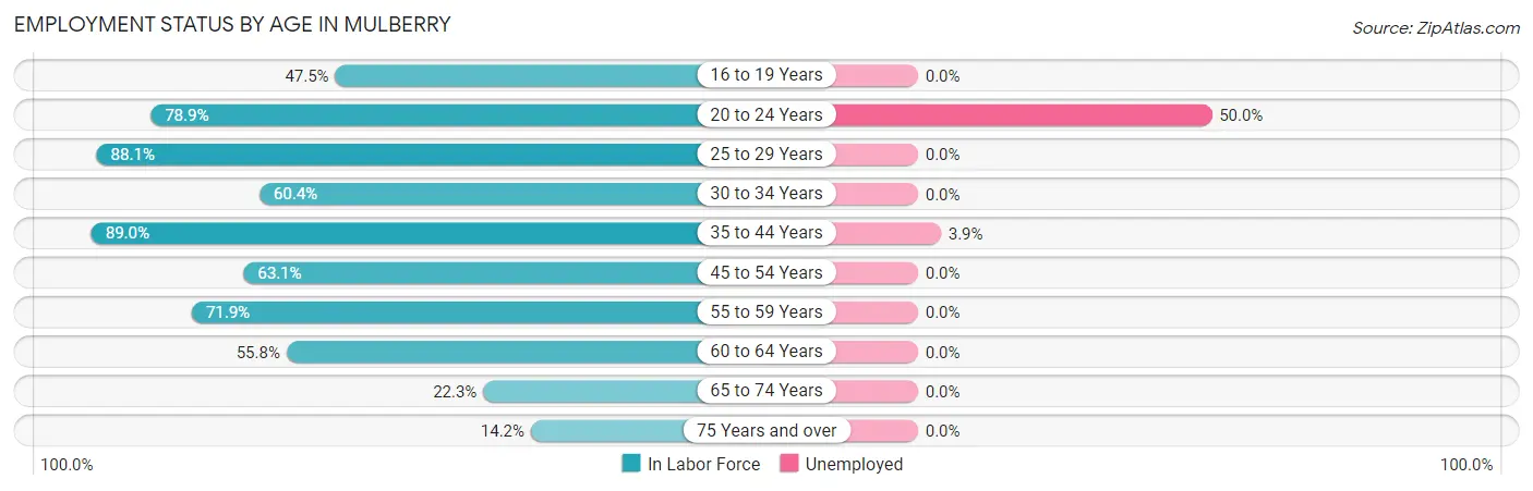 Employment Status by Age in Mulberry