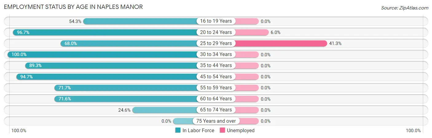 Employment Status by Age in Naples Manor