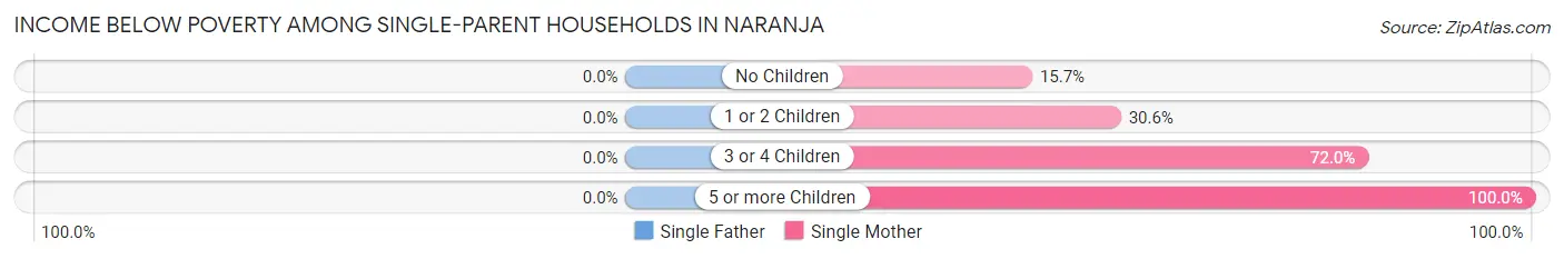Income Below Poverty Among Single-Parent Households in Naranja