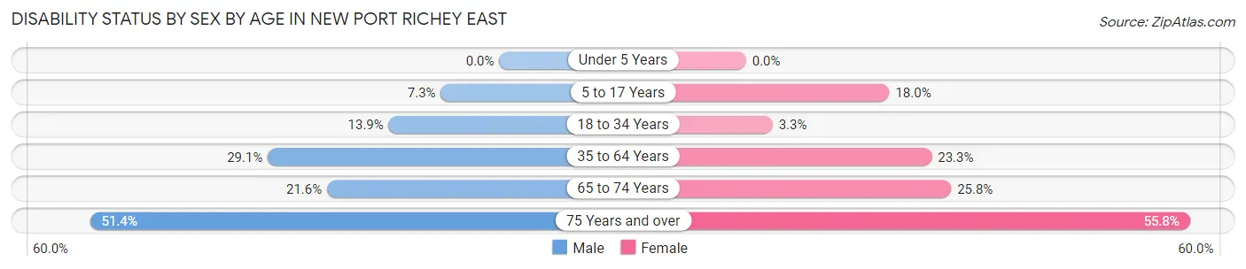 Disability Status by Sex by Age in New Port Richey East