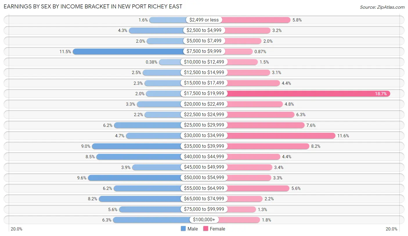 Earnings by Sex by Income Bracket in New Port Richey East