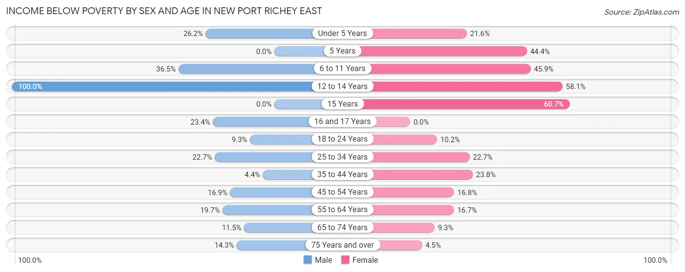 Income Below Poverty by Sex and Age in New Port Richey East