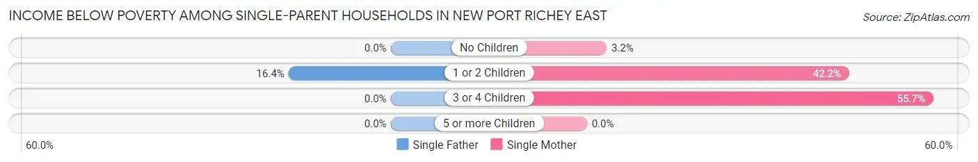 Income Below Poverty Among Single-Parent Households in New Port Richey East