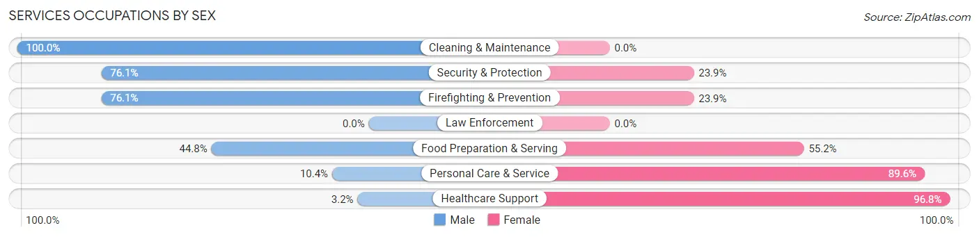 Services Occupations by Sex in New Port Richey East